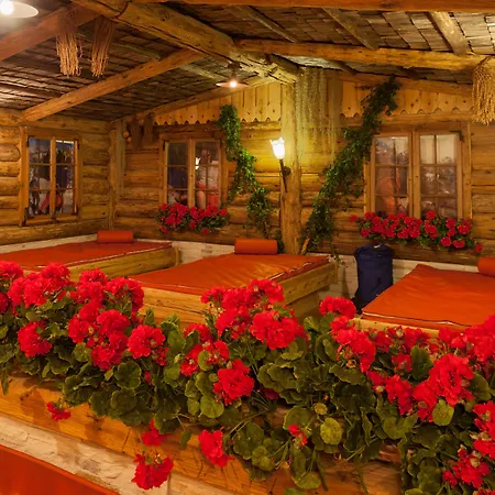 Alpinhotel Berghaus Hotell