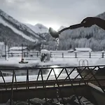 Alpinhotel Berghaus Hotel 4*