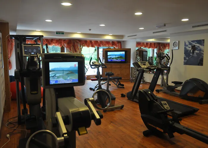 Hotel Alpinhotel Berghaus 4*